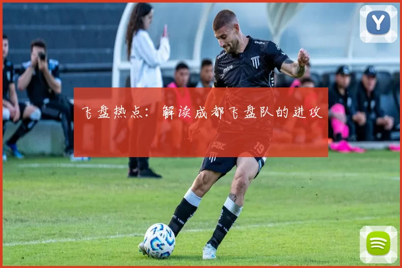 飞盘热点：解读成都飞盘队的进攻