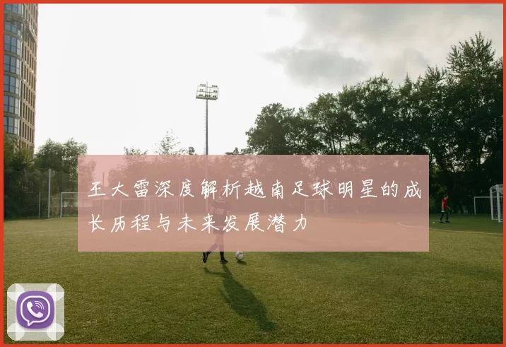 王大雷深度解析越南足球明星的成长历程与未来发展潜力