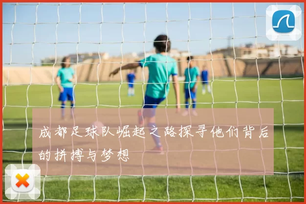 成都足球队崛起之路探寻他们背后的拼搏与梦想