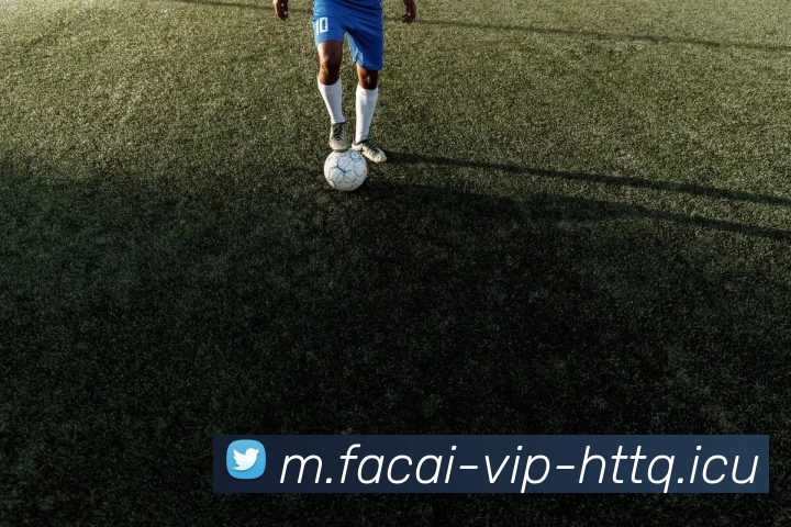 MK体育APP 封面图