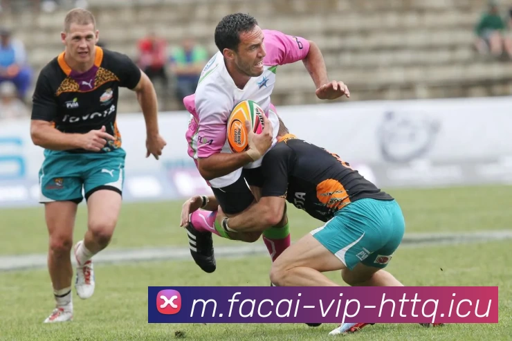 数据防护可视化